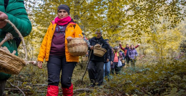 Kocaeli'nin İlk Mantar Avı Ormanya'da Yapıldı