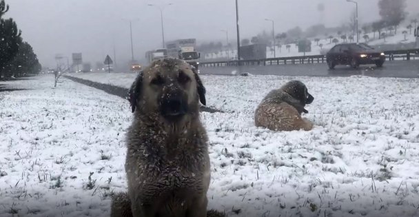 Kocaeli'ne kar geliyor