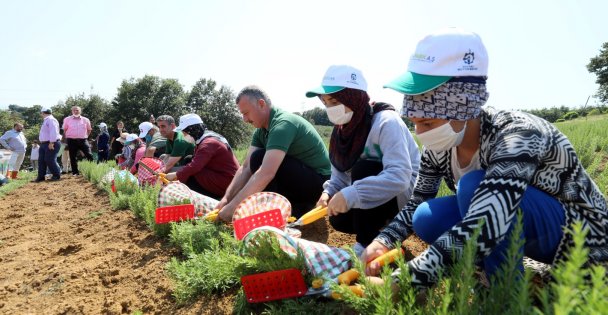 Kooperatif ve Birliklere Yüzde 75 Hibe Desteği