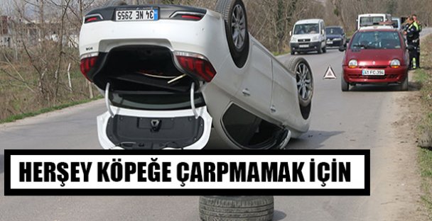 Köpeğe Çarpmamak İçin Takla Attı