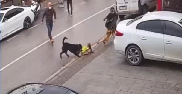Köpek Saldırınca Çocuğu Bırakıp Kaçtı