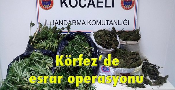 Körfez'de esrar operasyonu