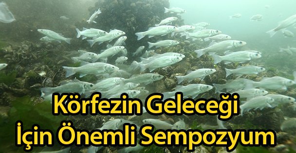 Körfezin Geleceği İçin Önemli Sempozyum