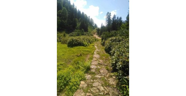 Korona Günlerinde Yaylacılık