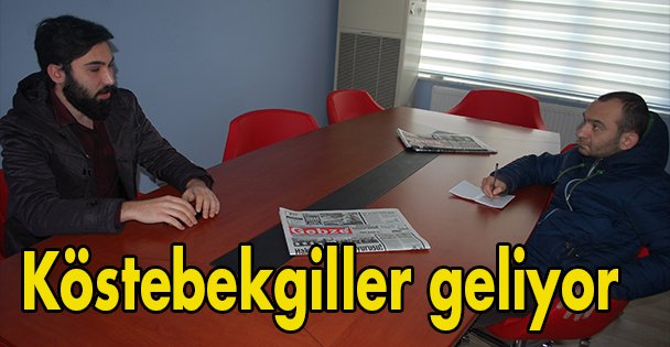 Köstebekgiller geliyor