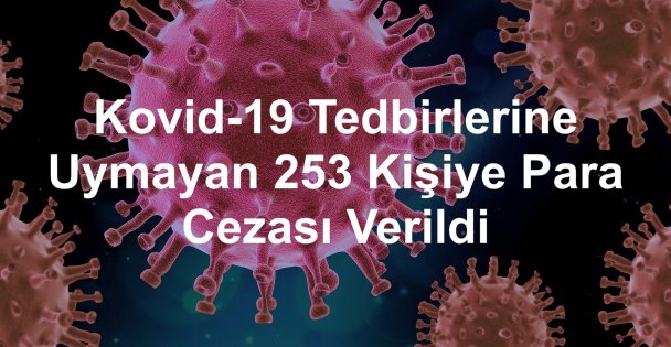 Kovid-19 Tedbirlerine Uymayan 253 Kişiye Para Cezası Verildi
