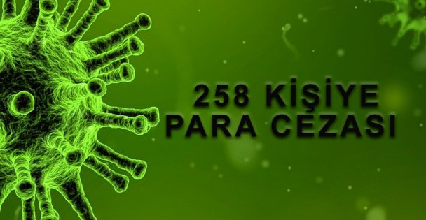 Kovit-19 denetimlerinde 234 kişiye para cezası