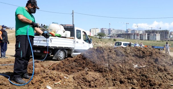 Kurban Pazar Yerleri İlaçlanıyor