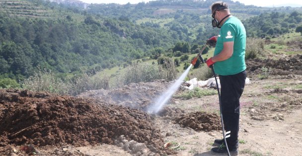 Kurban Pazar Yerleri İlaçlanıyor