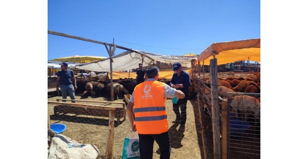 Kurban Pazarı Esnafına Hijyen Seti