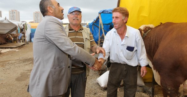 Kurban satış alanı hazır