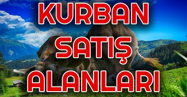 Kurban Satış Alanlarına Başvurular Başladı