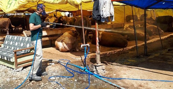 Kurban satış yerleri ilaçlanıyor