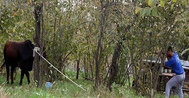 Kurban Yakalama Timi göreve hazır