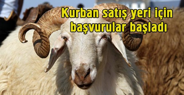 Kurban satış yerleri hazır!