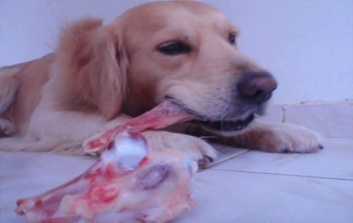 Kurban'da çöpe sakatat atmayın!