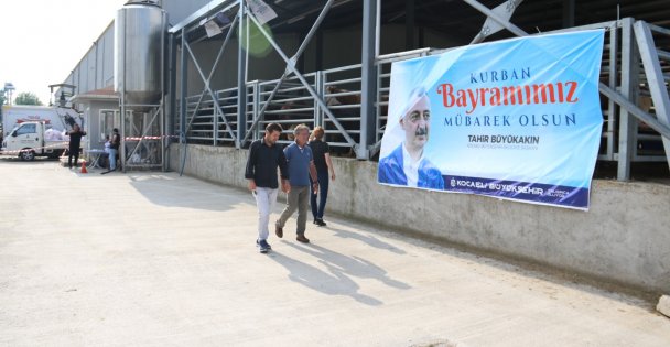 Kurbanlar Büyükşehir'in modern mezbahasında kesiliyor