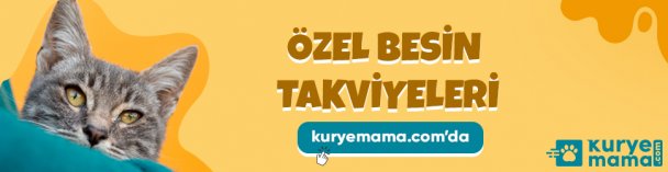 Kuryemama.com Sitesinde Kedi Bakım Ürünleri, Evleri Ve Dış Mekân Kovucu Kampanya da
