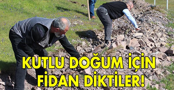 Kutlu Doğum için fidan diktiler!