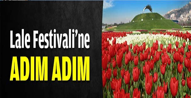 Lale Festivali'ne adım adım