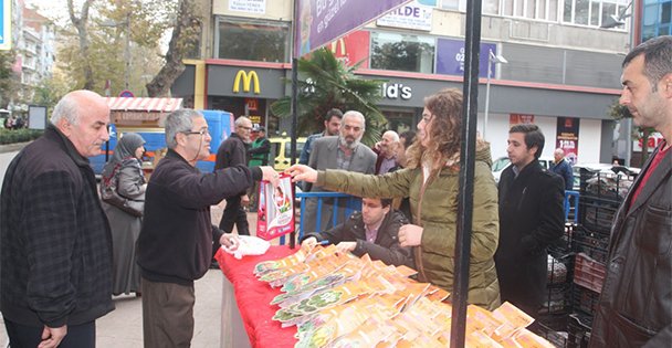 Lale satışları başlıyor