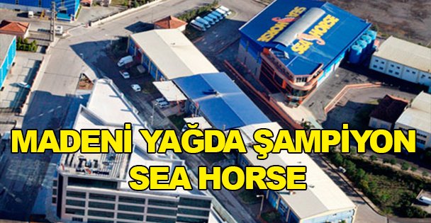 Madeni Yağda şampiyon Sea Horse!