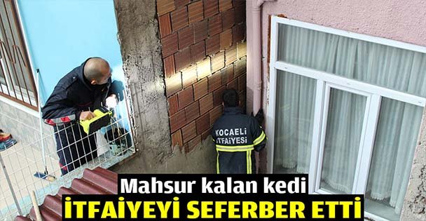 Mahsur kalan kedi itfaiyeyi seferber etti