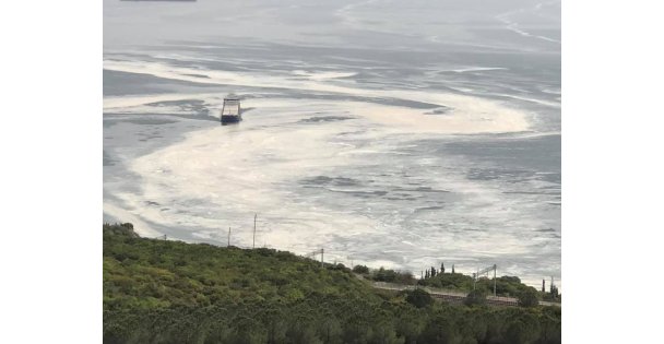 Marmara Denizi ve İzmit Körfezi Nasıl Kirlendi