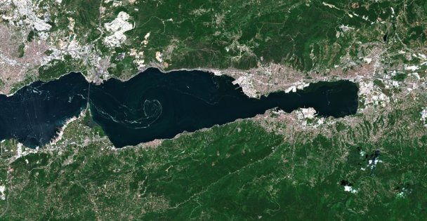 Marmara Denizi'ndeki Müsilajın Yoğunluk Haritası Çıkarıldı
