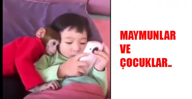 Maymundan Arkadaş !