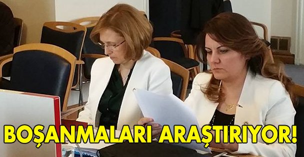 Meclis boşanmaları araştırıyor!