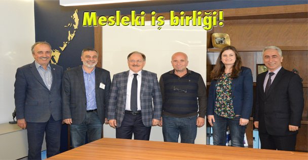 Mesleki iş birliği!