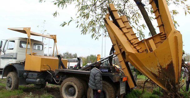 Metro proje alanındaki ağaçlar taşınıyor