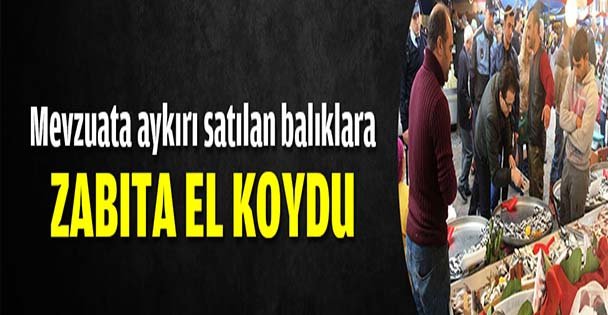 Mevzuata aykırı satılan balıklara zabıta el koydu