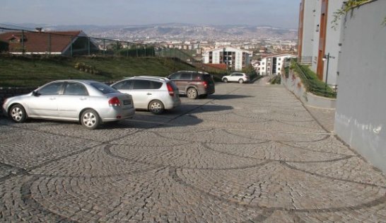 Meyve vermeye başladı!