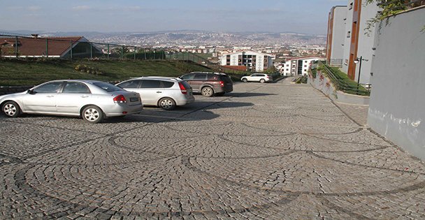 Meyve vermeye başladı!