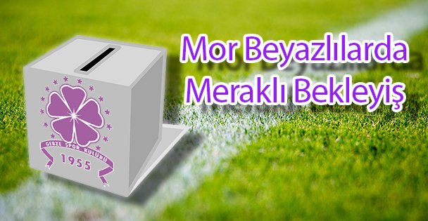 Mor Beyazlılarda Meraklı Bekleyiş