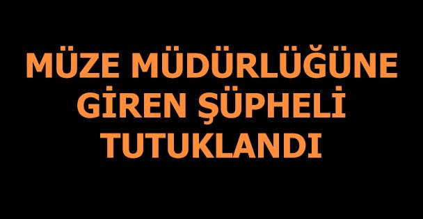 Müze müdürlüğüne giren şüpheli yakalandı