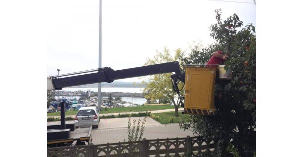 Nazmiye teyzenin yardımına belediye ekipleri koştu