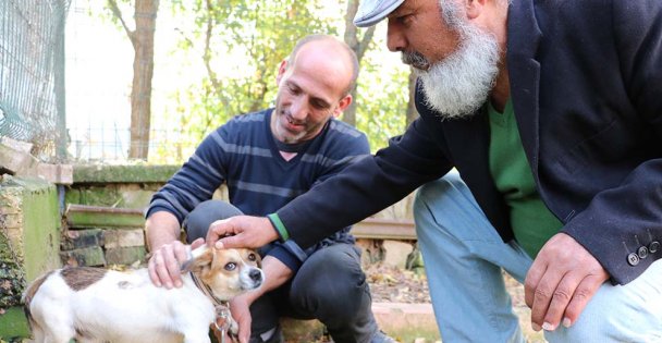 Nefessiz kalan köpeği kalp masajıyla hayata döndürdü