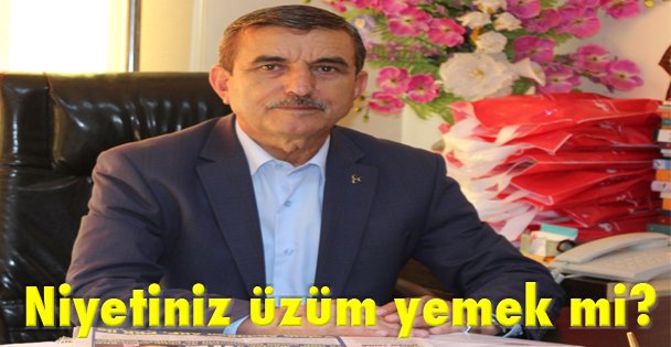 Niyetiniz üzüm yemek mi?