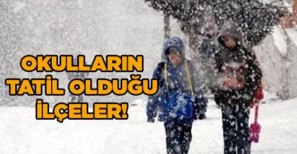 Okulların tatil olduğu ilçeler!