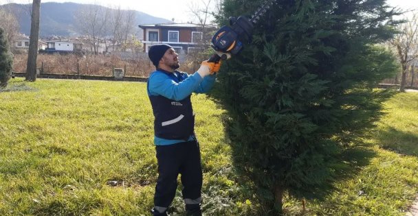 Olumsuz Hava Şartlarına Karşı Ağaçlar Budanıyor