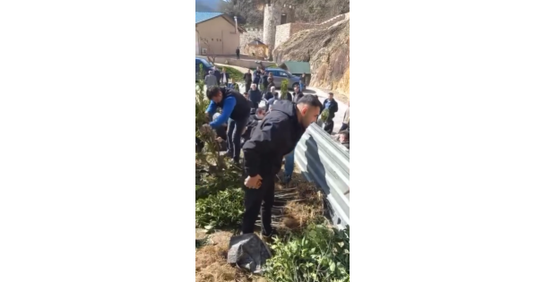 On Fidan Bir Can: Necati Uçar'dan Doğaya ve İnsanlığa Uzanan Örnek Seferberlik