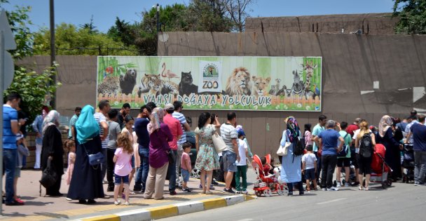 Önce bayramlaşma sonra hayvanat bahçesi