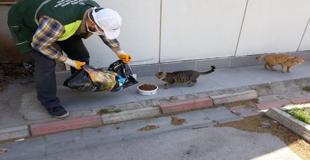 Onlar da sahipsiz değiller