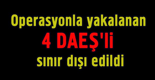 Operasyonla yakalanan 4 DAEŞ'li sınır dışı edildi
