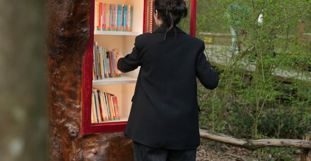 Orman Kütüphanesi'nde okuma keyfi bambaşka