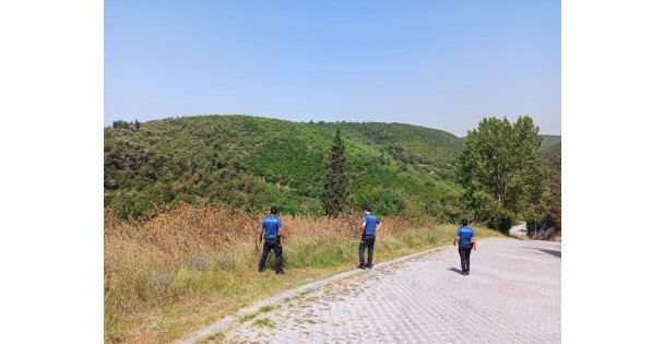 Orman Yangını Riski Nedeniyle Çöplerin Yakılması Yasaklandı