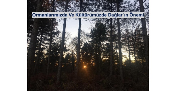 Ormanlarımızda Ve Kültürümüzde Dağlar`ın Önemi